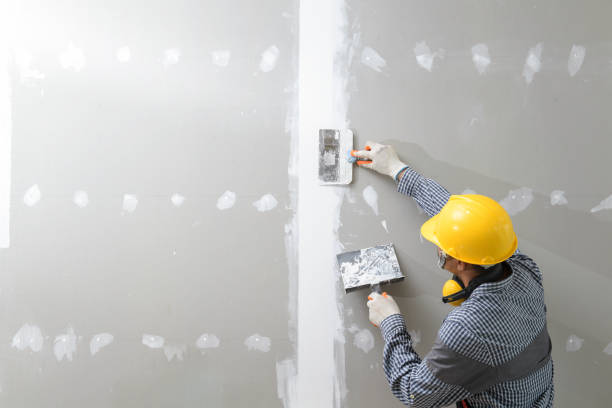 Best Environmental Consulting for Mold Prevention  in Eastwood, MI